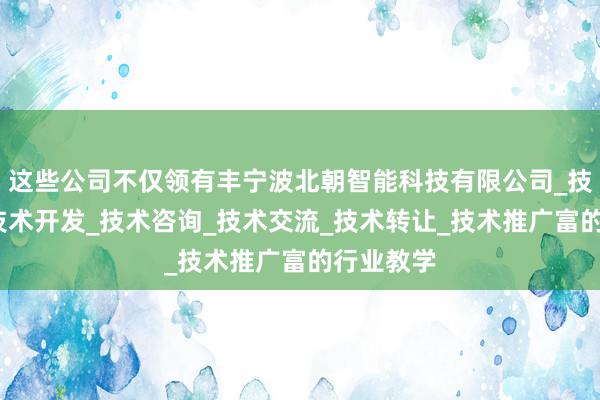 这些公司不仅领有丰宁波北朝智能科技有限公司_技术服务_技术开发_技术咨询_技术交流_技术转让_技术推广富的行业教学